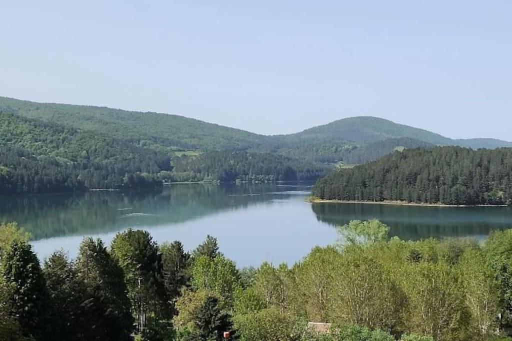 Loricaskihome Kültér fotó